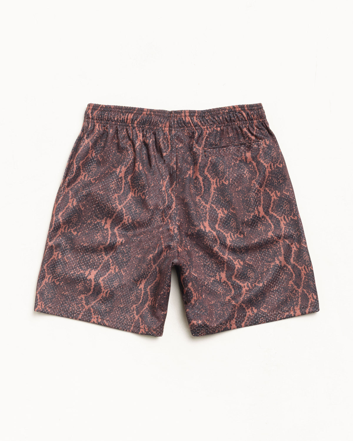 Basic Mesh Short – Snake | Shorts & Trunks | Stüssy Japan
