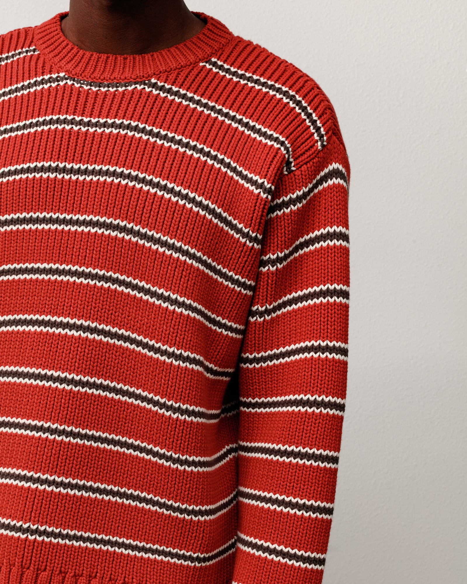 Stripe Crew Mens Long Sleeve In Brick