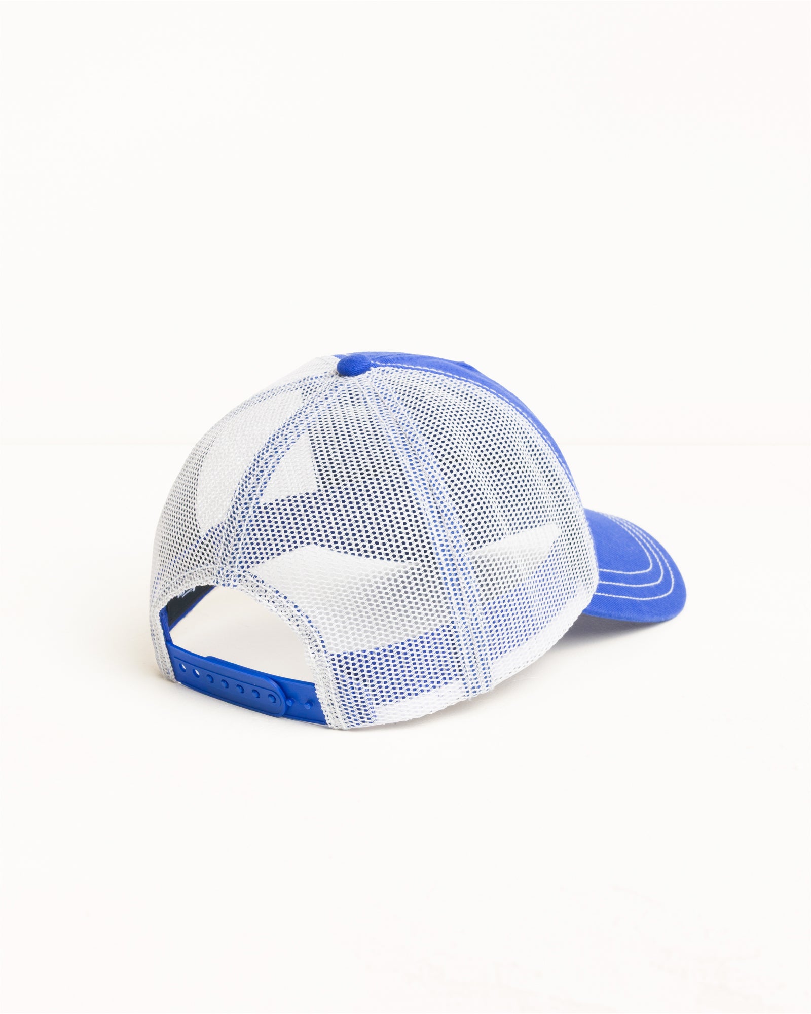 Lp Beach Roots Trucker Cap Unisex In Royal