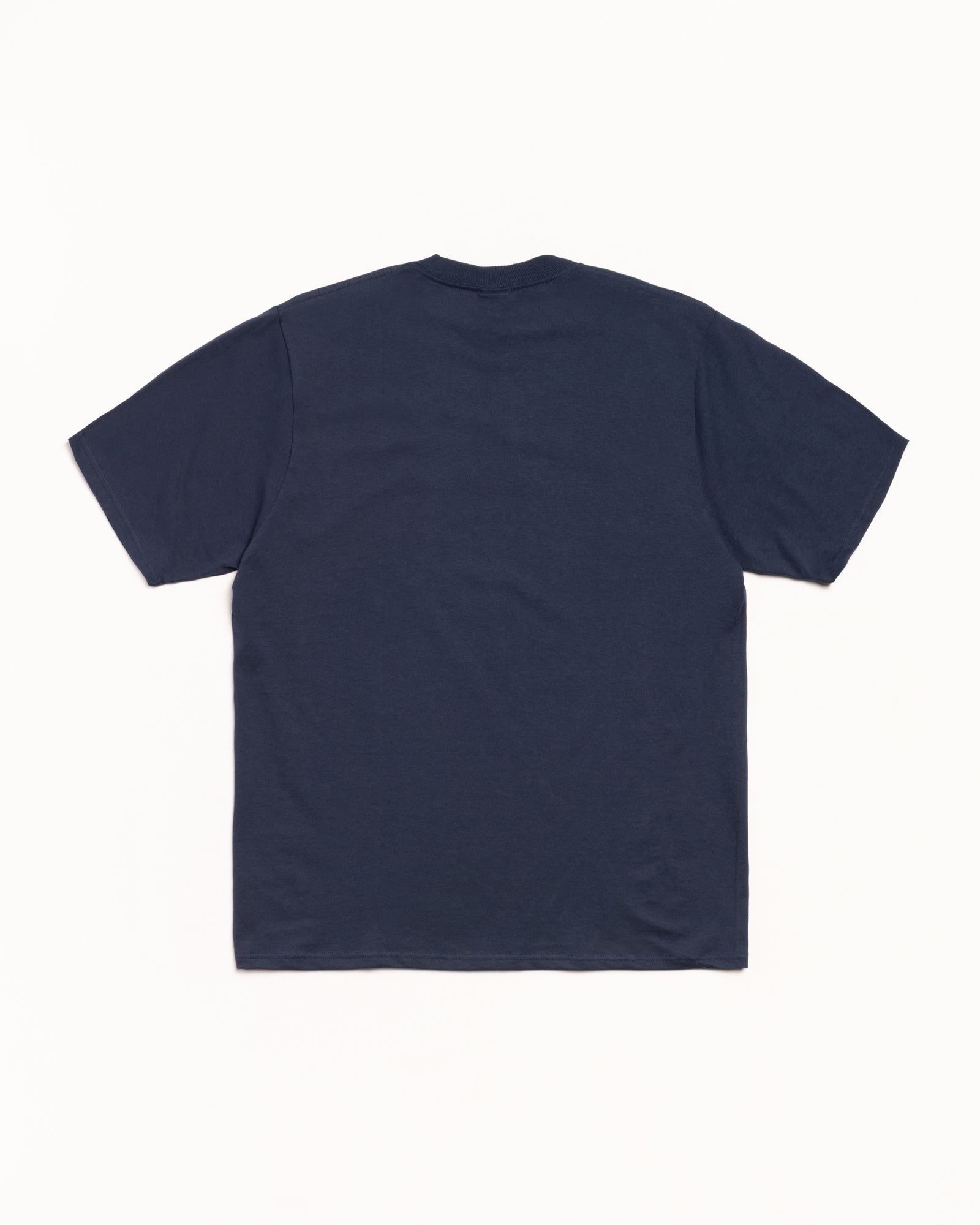 Stussy wingspan tシャツ Navy(紺) Msize Stussy - Knowledge Is King