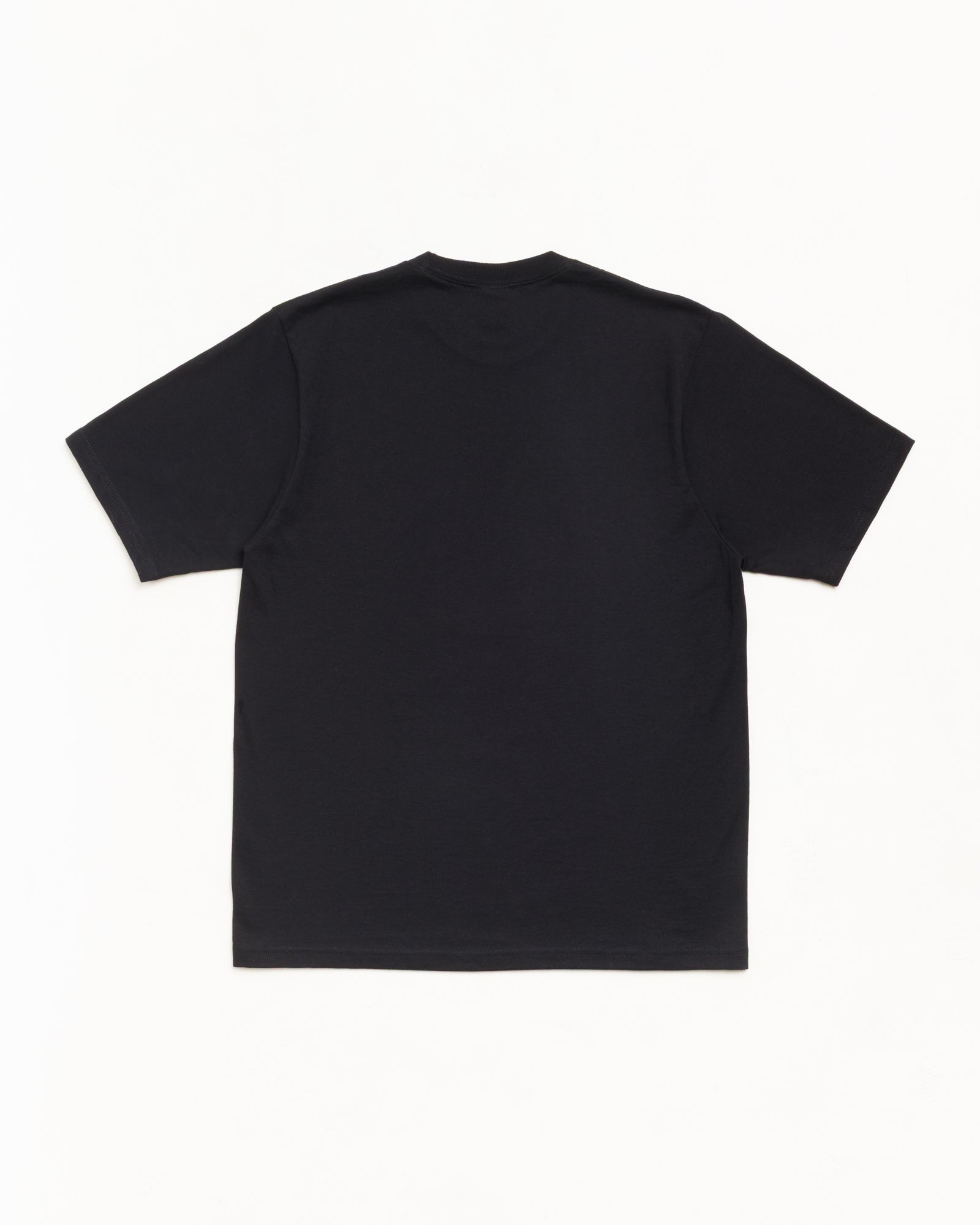 Stüssy Japan | Tシャツ | ベーシックロゴ & シーズナルグラフィック