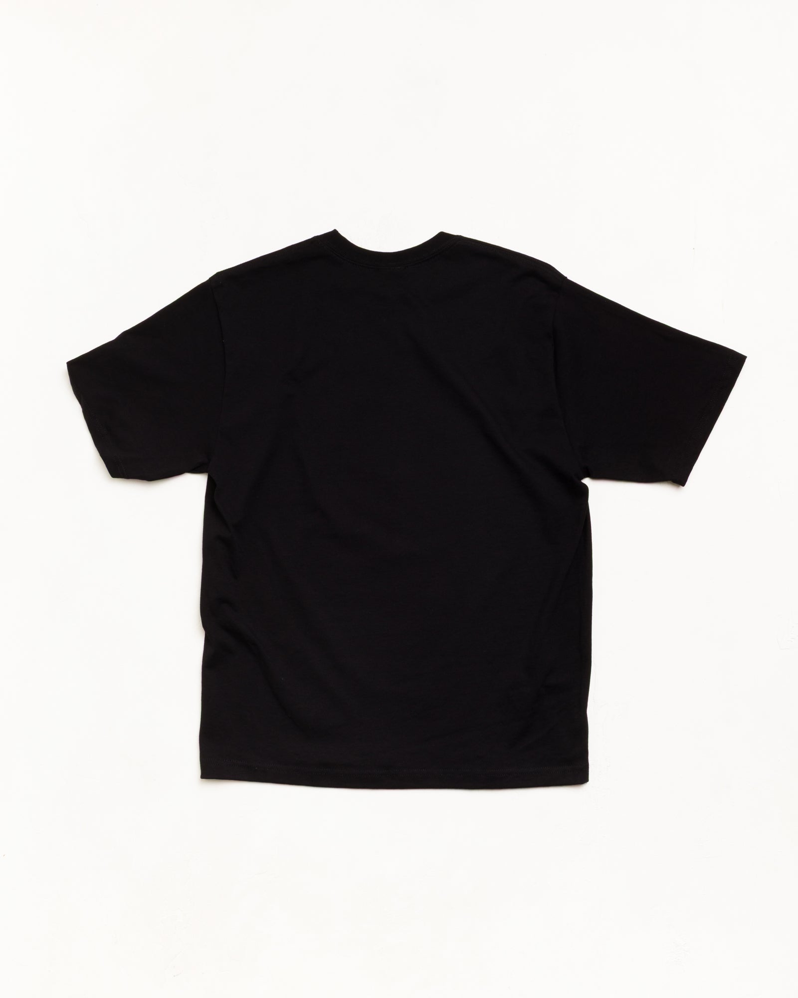 Stüssy Japan | Tシャツ | ベーシックロゴ & シーズナルグラフィック