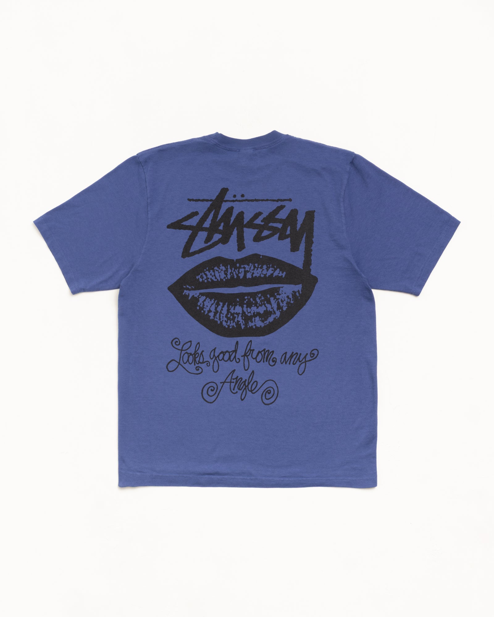 Any Angle Pig. Dyed Tee Mens Short Sleeve In Indigo