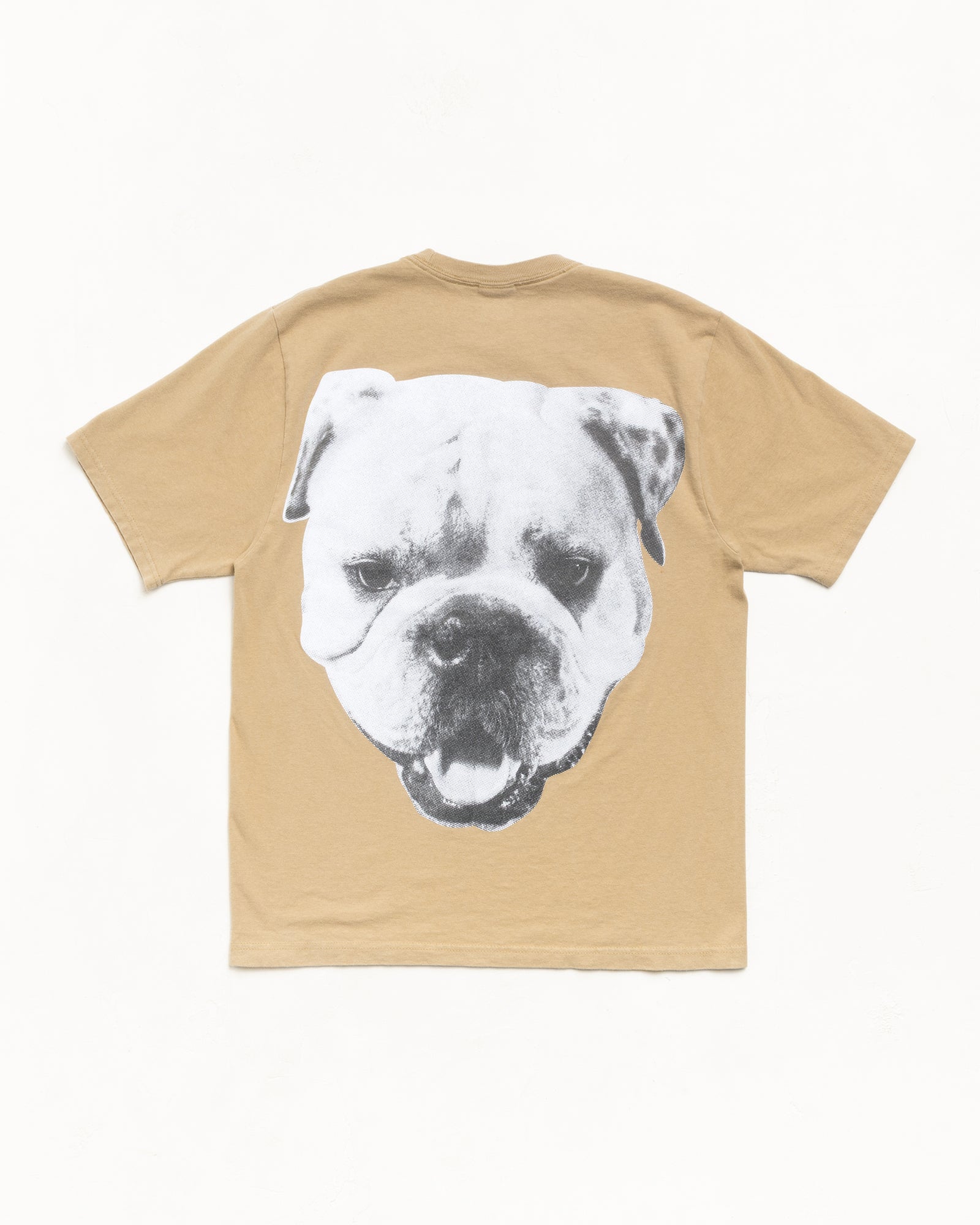 Big Dog Stone Washed Tee – Khaki | Tees | Stüssy Japan