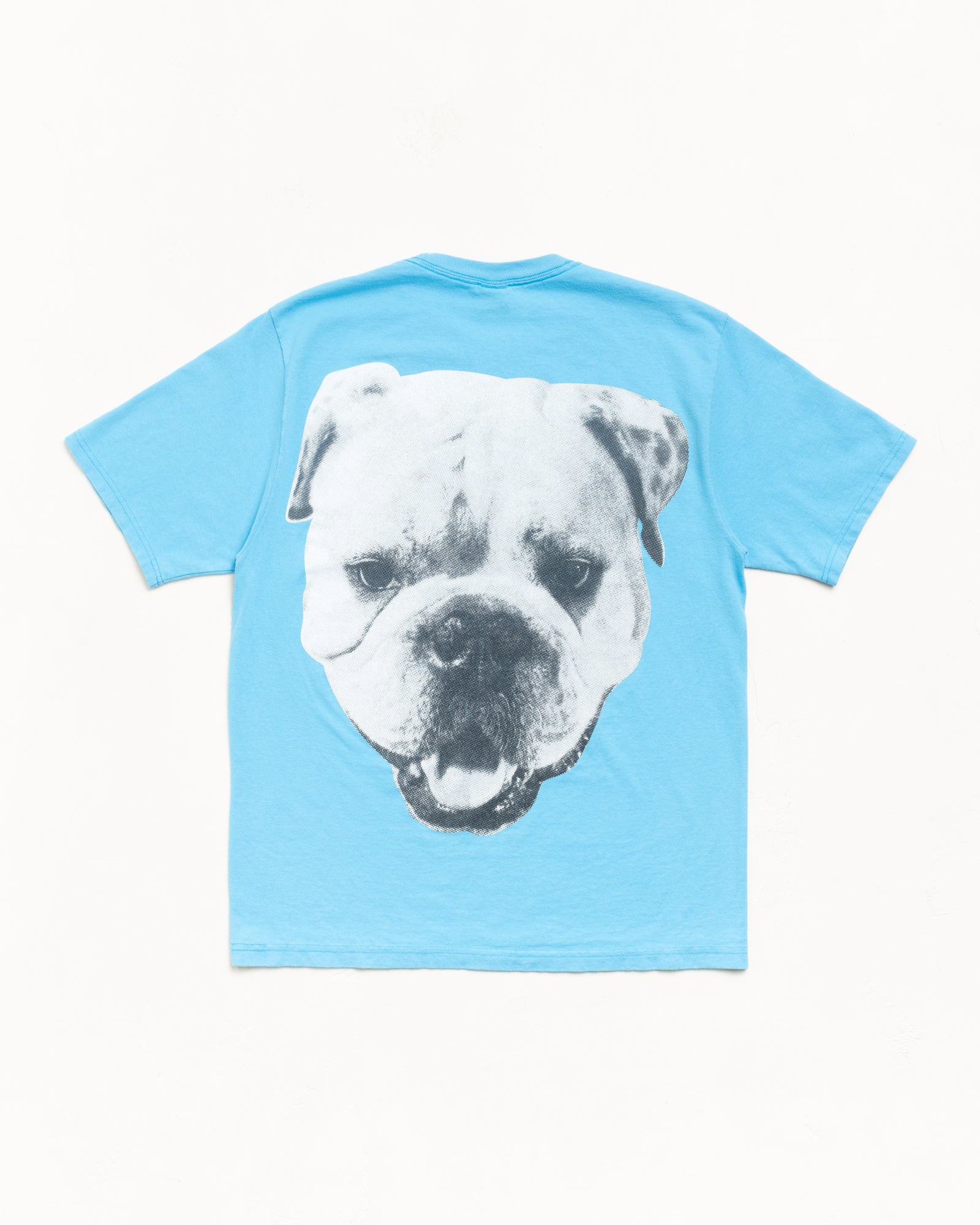 Big Dog Stone Washed Tee – Sky Blue | Tees | Stüssy Japan
