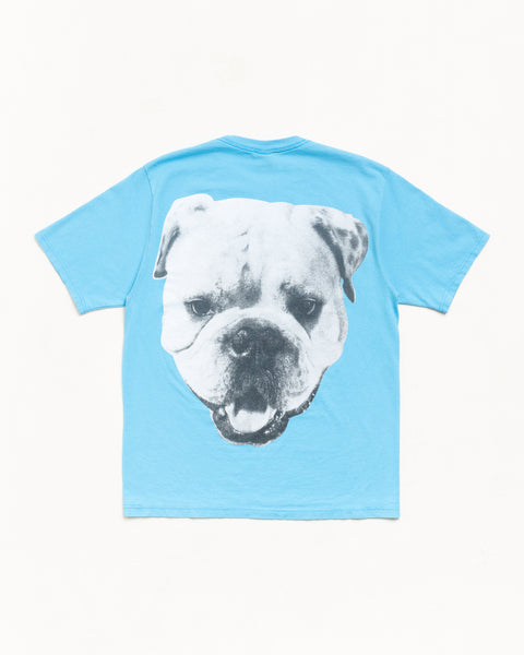 Big Dog Tee Mens Short Sleeve In Sky Blue