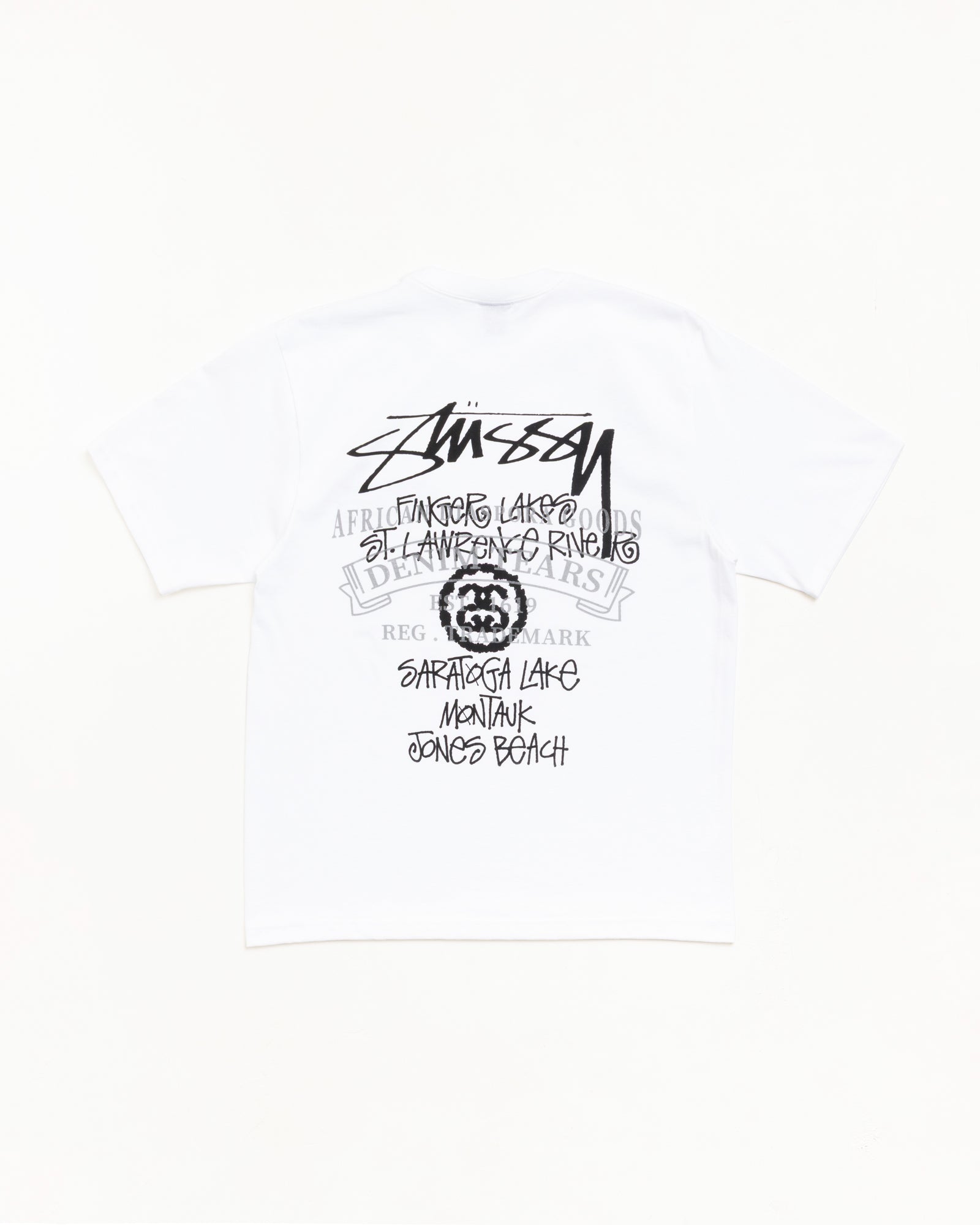 Stüssy Japan | Tシャツ | ベーシックロゴ & シーズナルグラフィック