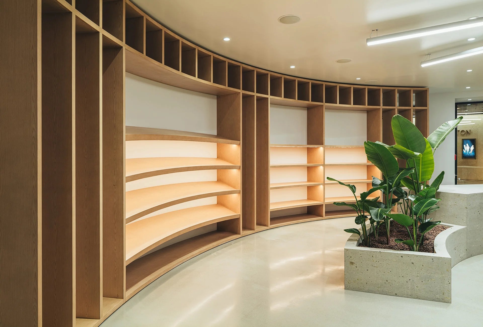 25年10月購入 stussy honolulu スウェット L 新品タグ付 NEW!! Stussy Honolulu Full Zip Hoodie Olive Small Rare Limited