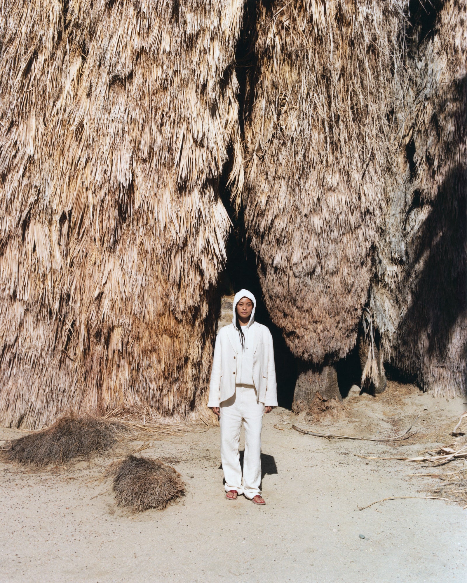 Stüssy Spring '25 Collection – Stüssy Japan